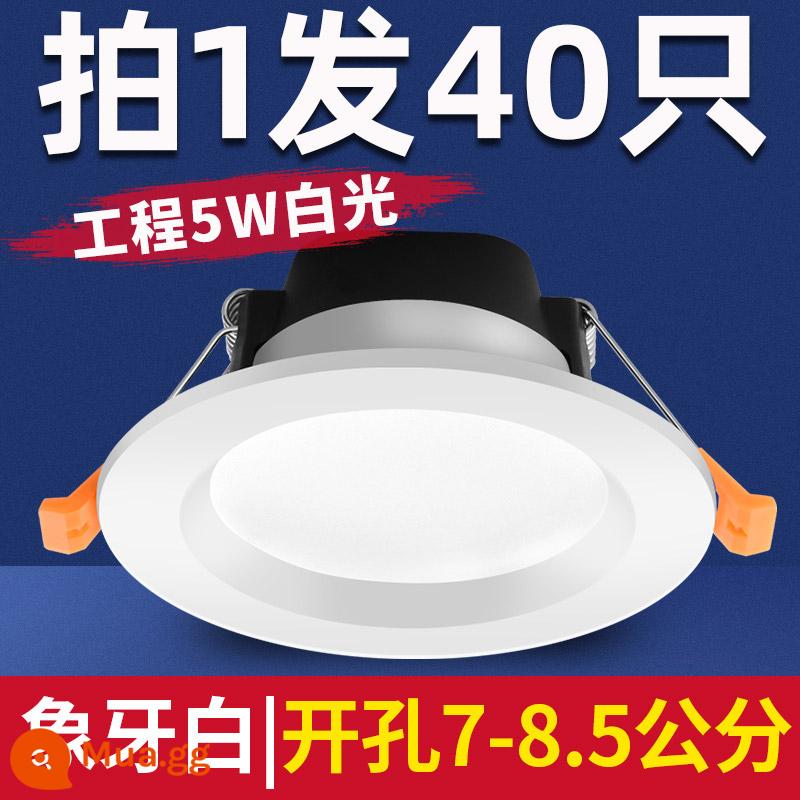 Đèn trần LED 4 inch downlight 12w6 inch 18w5 inch kỹ thuật thương mại đèn thùng 15 cm công suất cao nhúng 9w - [Gói 40] Mỗi ID được giới hạn cho một lần mua, 20 ID nữa sẽ được gửi