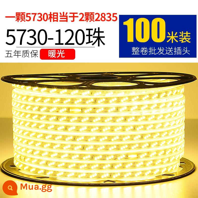 Đèn LED với ánh sáng kỹ thuật ngoài trời 100m - 5730 ba hàng 120 hạt ánh sáng ấm áp 100 mét miễn phí 10 phích cắm