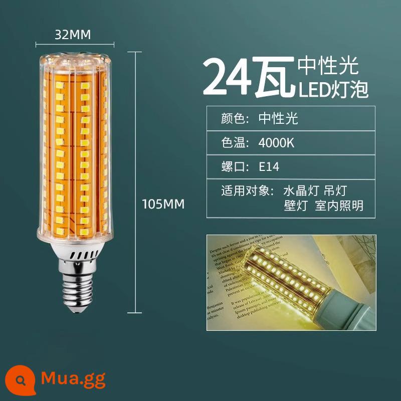 Bóng Đèn LED Ngô Đèn Hộ Gia Đình E27 Sợi E14 Vít Tiết Kiệm Năng Lượng Đèn Trắng Ấm Ba Màu Ánh Sáng Chiếu Sáng đèn Chùm Đèn - Không nhấp nháy, cổng vít E14, đèn trung tính 24W