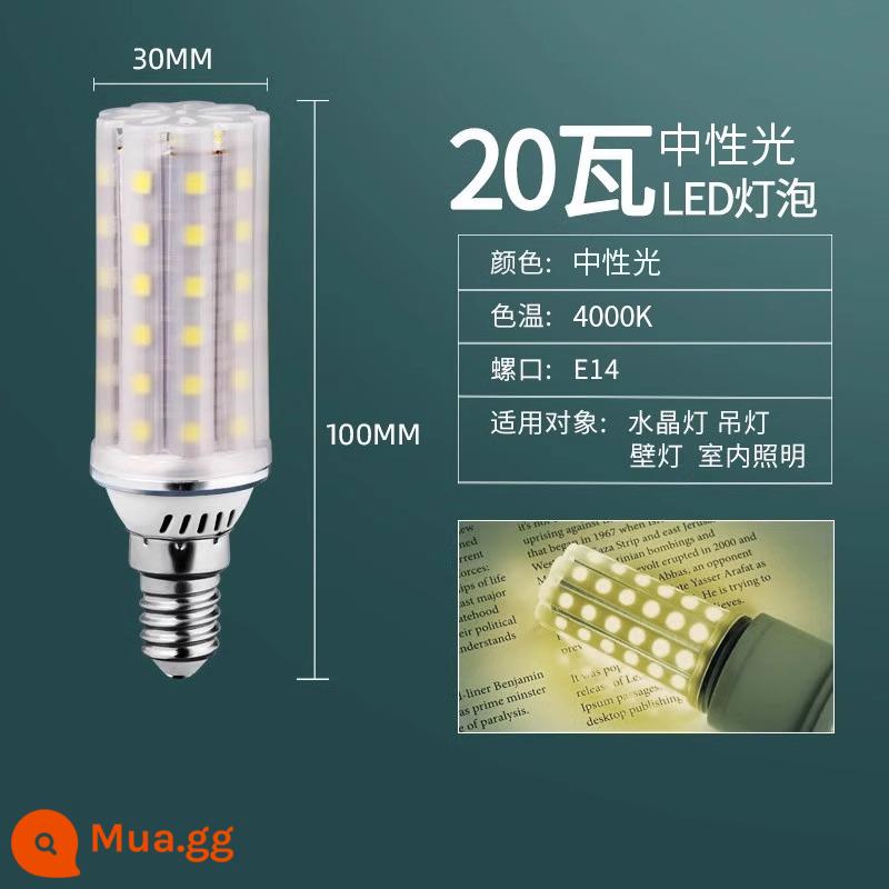 Bóng Đèn LED Ngô Đèn Hộ Gia Đình E27 Sợi E14 Vít Tiết Kiệm Năng Lượng Đèn Trắng Ấm Ba Màu Ánh Sáng Chiếu Sáng đèn Chùm Đèn - Không nhấp nháy, cổng vít E14, đèn trung tính 20W