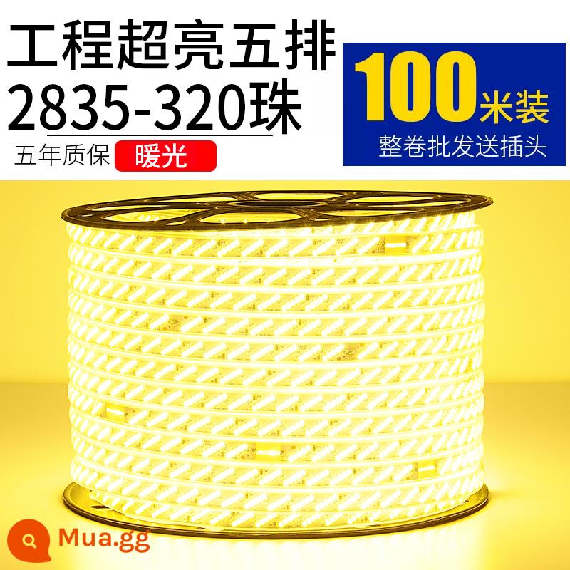 Đèn LED với ánh sáng kỹ thuật ngoài trời 100m - Kỹ thuật 5 hàng 320 ánh sáng ấm áp ngọc trai 100 mét miễn phí 10 phích cắm