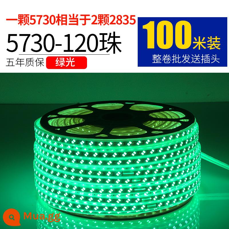 Đèn LED với ánh sáng kỹ thuật ngoài trời 100m - 5730-120 đèn xanh ngọc trai 100 mét miễn phí 10 phích cắm