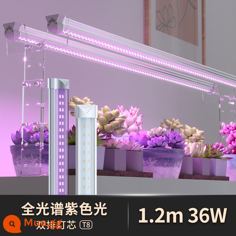 Đèn LED mọng nước đặc biệt lấp đầy ánh sáng hộ gia đình màu mô phỏng giả mặt trời trong nhà ánh nắng mặt trời toàn phổ đèn tăng trưởng thực vật - Toàn phổ [Hạt đèn đôi hàng T8] 1,2 mét 36W