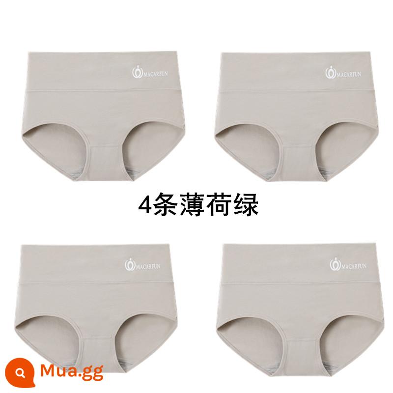 Bộ 4 Quần Lót Nữ Cao Cấp Tập Điều Khiển Cotton Kháng Khuẩn Graphen Thoáng Khí Nâng Hông XL Nữ Quần Đùi - 4 màu xanh bạc hà