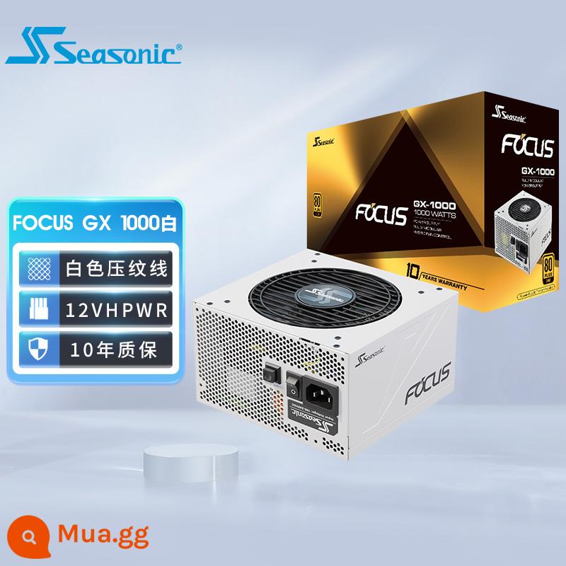 SEASONIC Haiyun Nguồn Điện FOCUS GX1000 850 750W Huy Chương Vàng Full Model Full Tụ Điện Nhật Bản - Phiên bản cũ của Bộ nguồn FOCUS GX 1000W White Haiyun Gold