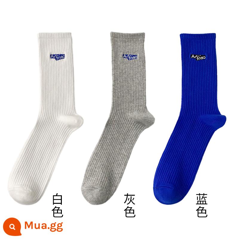 2 đôi Klein xanh bông dài Tân Cương xu hướng thể thao - 3 đôi [xanh+trắng+xám]