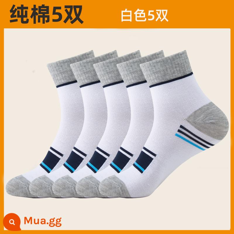 Vớ cotton cotton nam giữa, mồ hôi, mồ hôi, vớ nam - Hình ảnh chính - 5 đôi màu trắng (tổng cộng 5 đôi)