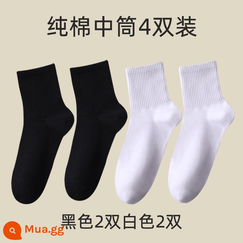 Vớ nam giữa mùa đông mùa đông ưu tú 100%cotton preittey giả vờ mùa đông cotton cotton dày cotton thể thao mùa thu và mùa đông nam - Nòng giữa được nâng cấp - đen 2 trắng 2 (tổng cộng 4 đôi)