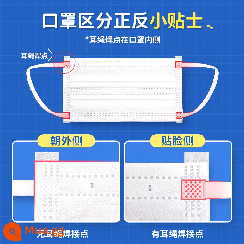 Trang chủ Zhibao 50 Mặt nạ cơ nhạy cảm mềm Dây đeo tai rộng Chống hạt dùng một lần Thoáng khí Không ngạt thở Trẻ em và Học sinh - [Mẹo ấm] Cách phân biệt mặt trước và mặt sau của khẩu trang