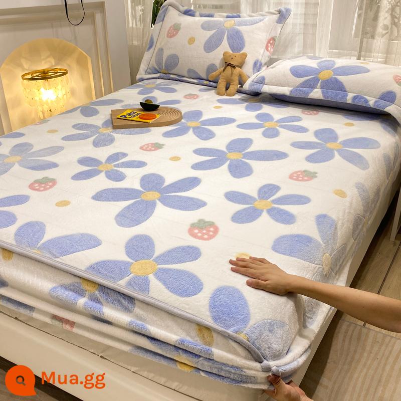 Jieliya sữa san hô mô hình Velvet Single Bed Bed Mids Matsus Mattp Mattop Caper Matsted Mattop Cast Set - những bông hoa