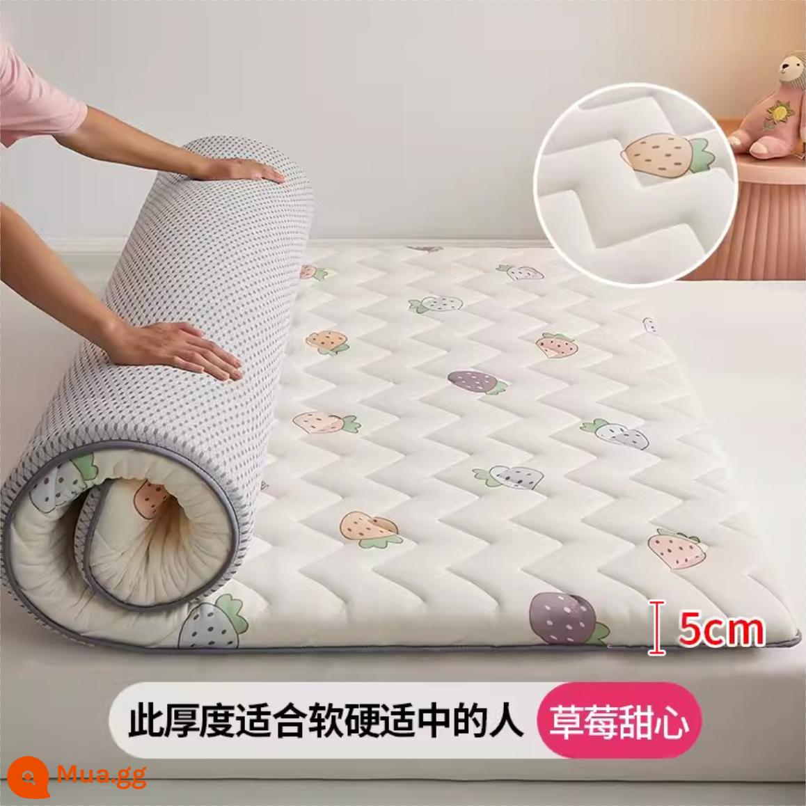 Jie Liya đậu nành cao su nệm đệm hộ gia đình nệm cho thuê nệm cứng ký túc xá đơn tatami mat - (Dày khoảng 5cm) Dâu yêu [Mềm vừa và cứng | dễ sử dụng và không bị xẹp]