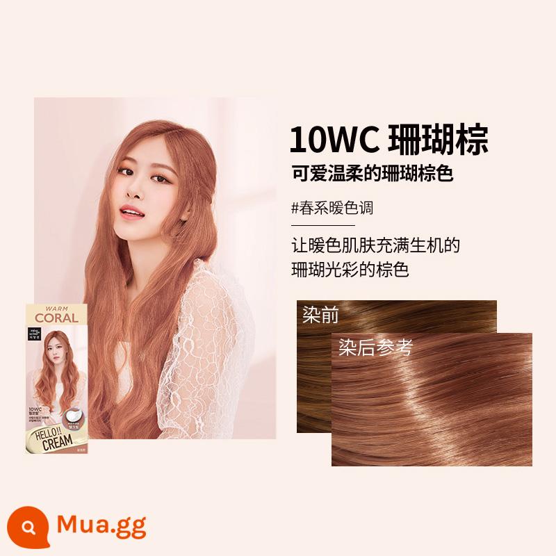 Gel nhuộm tóc Mei Shangxuan chính thức của Korea Amore, thuốc nhuộm tóc gốc thực vật để nhuộm trà đen trà nâu tại nhà - 10WC màu nâu san hô