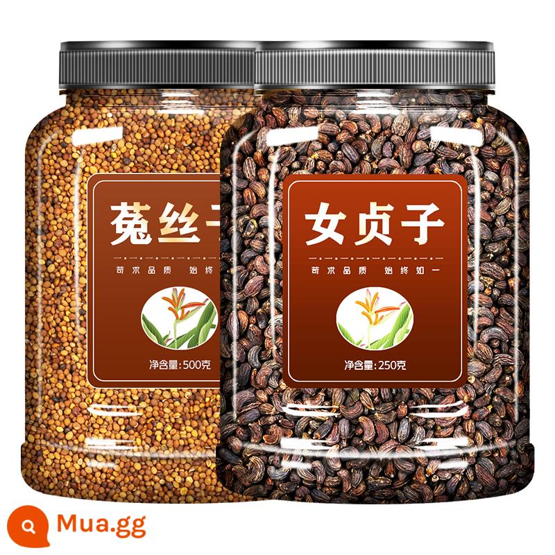 Cuscuta 500g gram trà dược liệu Trung Quốc Trà lụa thỏ Nội Mông goji berry epimedium privet seed bột túi trà siêu cấp - [2 lon] Cuscuta + Ligustrum lucidum [750g]