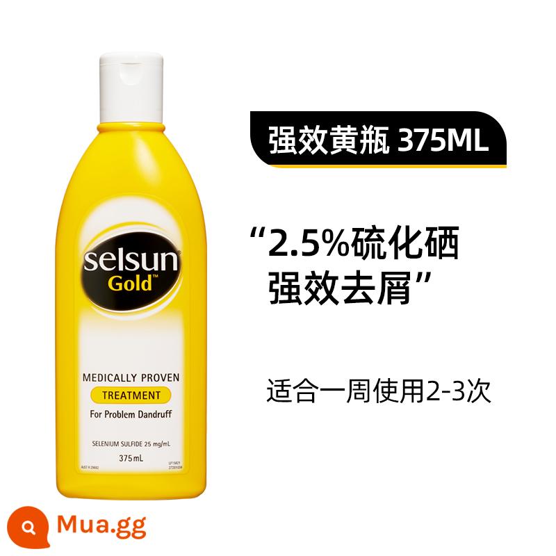 [Chính thức bán trực tiếp] Dầu xả selsun của Úc cải thiện tóc khô ceramide sửa chữa nhũ tương dinh dưỡng - Chai vàng 375ml--triệt gàu mạnh