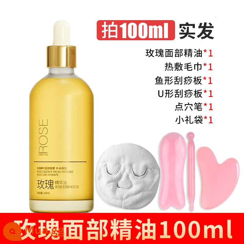 Tinh dầu gừng Artemisia massage toàn thân đả thông kinh lạc cơn sốt body mở lưng cạo thẩm mỹ đẩy lùi tinh dầu - 100ml