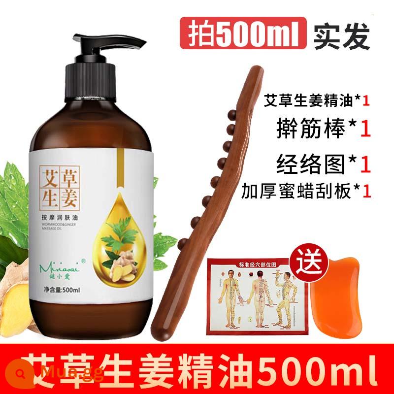 Tinh dầu gừng Artemisia massage toàn thân đả thông kinh lạc cơn sốt body mở lưng cạo thẩm mỹ đẩy lùi tinh dầu - 500ml