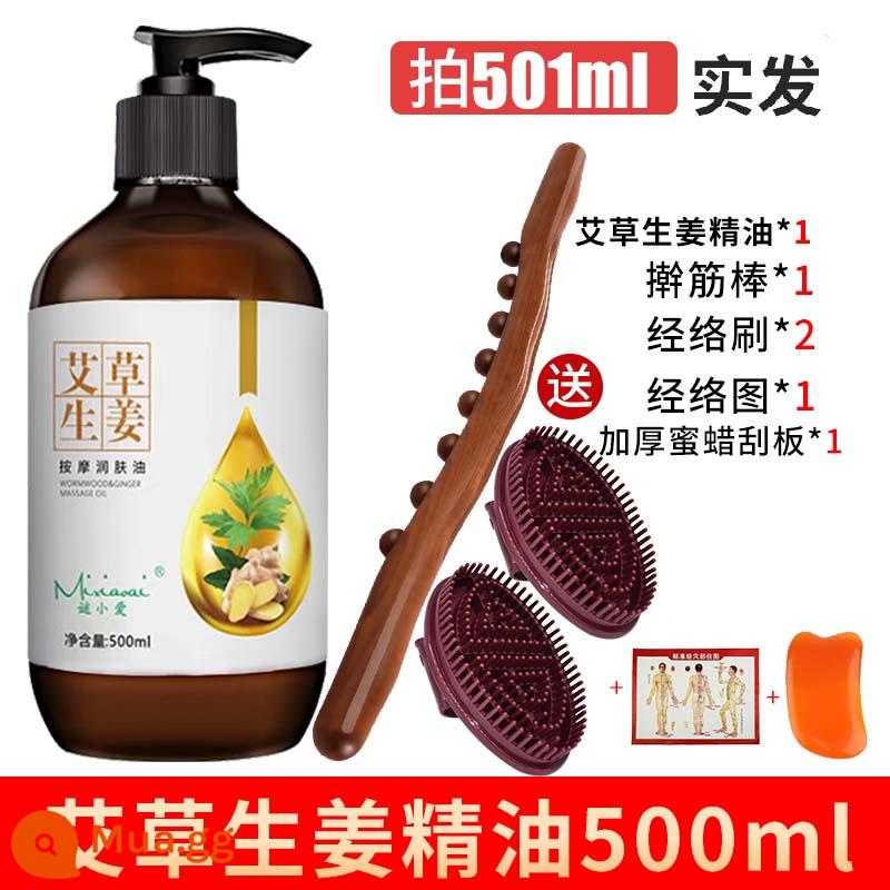 Tinh dầu gừng Artemisia massage toàn thân đả thông kinh lạc cơn sốt body mở lưng cạo thẩm mỹ đẩy lùi tinh dầu - 501ml