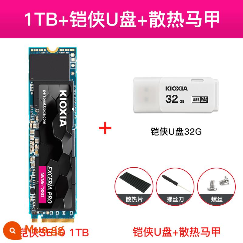 Kai Xia RC20 ổ cứng thể rắn 1t m.2 thể rắn nvme pcie ssd máy tính để bàn máy tính xách tay trạng thái rắn m2 - SE10-1T đạt tiêu chuẩn + ổ flash USB Kioxia 3.0 32G + áo làm mát + ốc vít + tuốc nơ vít