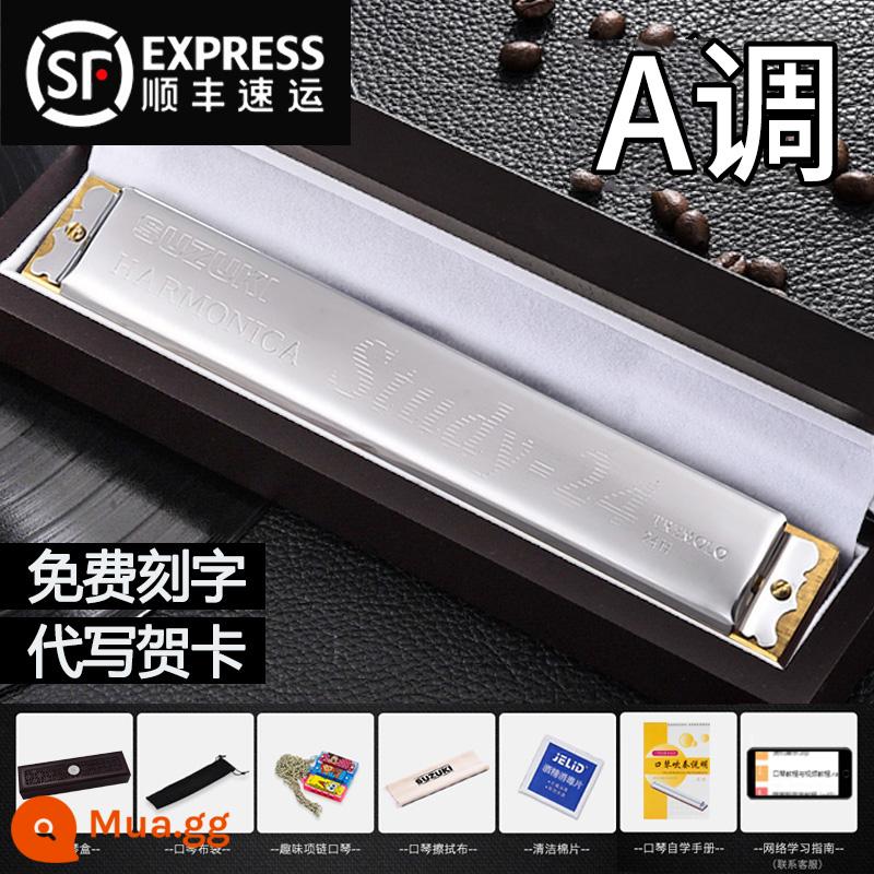 Bản gốc Suzuki harmonica 24 lỗ đa âm C giai điệu đích thực dành cho học sinh người lớn mới bắt đầu với đàn piano chuyên nghiệp - Hộp quà đa âm A 24 lỗ bạc + gỗ đàn hương + quà tặng