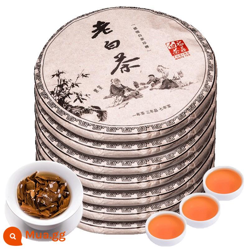 Hương vị trà 2015 Fuding White Tea Old Shoumei Taimu Mountain Old White Tea Shoumei Tea 7 Cakes 2450g - 2450g