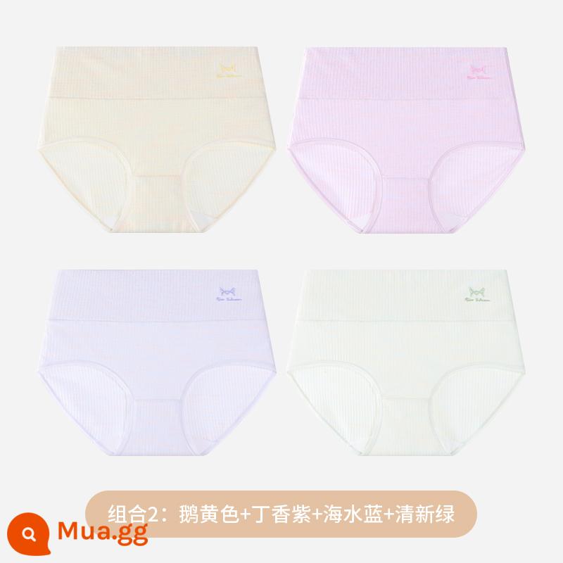 Quần lót nữ Catman Cotton nguyên chất Kháng khuẩn Eo cao Kiểm soát bụng Kích thước lớn Quần đùi nữ Quần cotton Quần đùi Tóm tắt Tóm tắt - [Bông màu nâng cấp]: Tím hoa cà + Xanh biển + Hồng cam nhạt + Xanh tươi