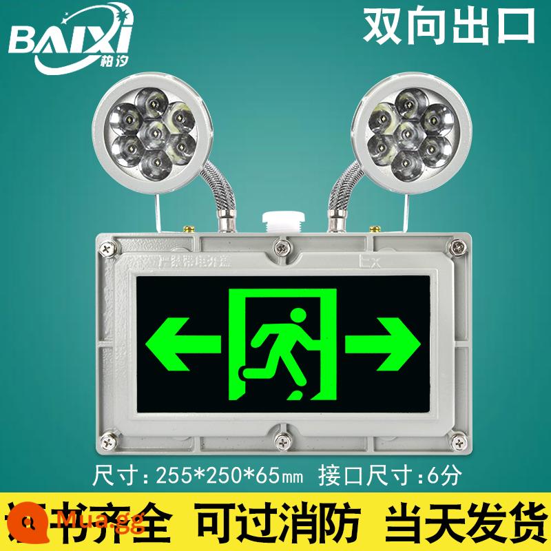 Đèn LED chiếu sáng khẩn cấp chống cháy nổ Biển báo sơ tán cháy C Chiếu sáng trạm xăng EX Đèn báo thoát hiểm an toàn chống cháy nổ - Mô hình tiêu chuẩn chống cháy nổ đa chức năng hai chiều