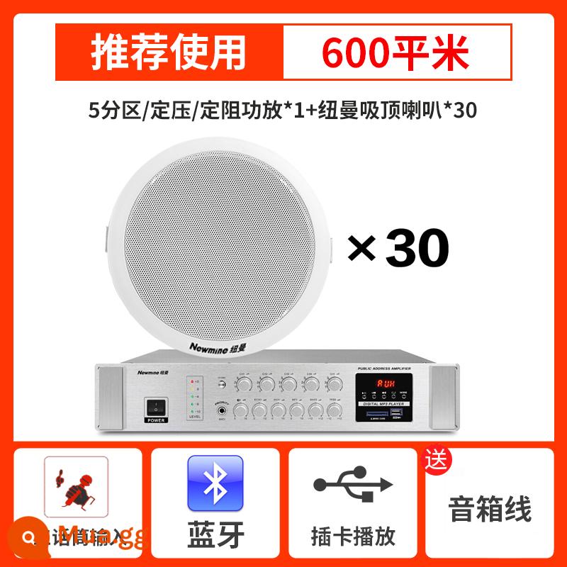 Âm thanh gắn trần Newman phòng khách nhà cửa hàng trang trí nền bộ khuếch đại âm nhạc trần phòng hội nghị loa trần treo không dây Bluetooth loa trần điều khiển phân vùng có dây nhúng - Ampli chuyên nghiệp 5 vùng + 30 loa trần chuyên nghiệp