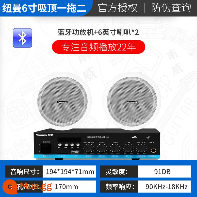 Âm thanh gắn trần Newman phòng khách nhà cửa hàng trang trí nền bộ khuếch đại âm nhạc trần phòng hội nghị loa trần treo không dây Bluetooth loa trần điều khiển phân vùng có dây nhúng - Bộ khuếch đại chuyên nghiệp vùng kép + hai loa trần 6 inch