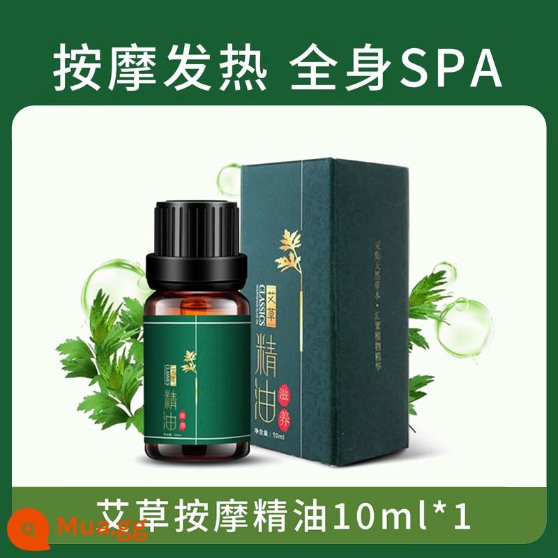 Artemisia Gừng Massage Tinh Dầu Toàn Thân Tongluo Kinh Mạch Sốt Vai Cổ Hở Lưng Massage Cạo Mặt Tinh Dầu Không Rửa - 10ml