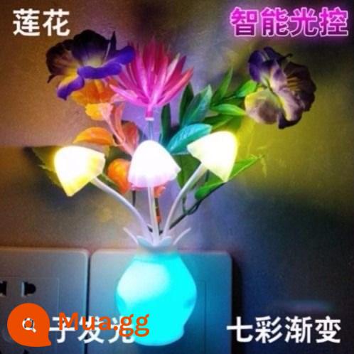 Điều khiển ánh sáng LED cảm ứng tự động sáng tạo bảo vệ mắt đèn ngủ hình nấm cắm tiết kiệm năng lượng đầu giường cho bé bú ngủ giấc ngủ - Lotus (điều khiển ánh sáng) mua một tặng một