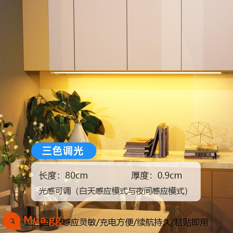 Ánh sáng cảm biến cơ thể người với đèn đồi Đèn LED chiếu sáng có thể sạc lại hiên nhà tủ giày tủ rượu đèn mắt mèo không dây ánh sáng gợn sóng - Đèn phẳng 80 cm [cảm ứng cơ thể người + ba màu + điều chỉnh độ sáng + sạc + hút nam châm]