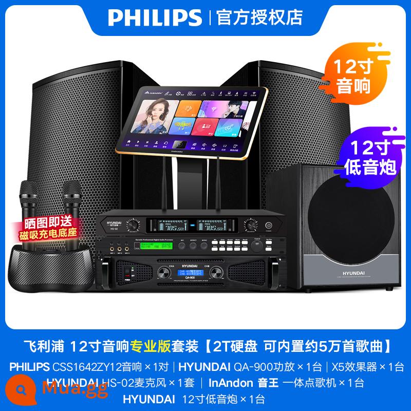 Philips Family KTV Audio Set Chuyên nghiệp K Song Một bộ đầy đủ của Karaoke Song Machine Home Sing Loa Thiết bị - Hộp chuyên nghiệp Bộ 12 inch (2T) + loa siêu trầm 12 inch