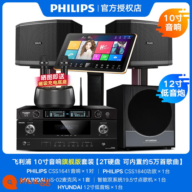 Philips Family KTV Audio Set Chuyên nghiệp K Song Một bộ đầy đủ của Karaoke Song Machine Home Sing Loa Thiết bị - Gói âm thanh hàng đầu (2T) + loa siêu trầm 12 inch