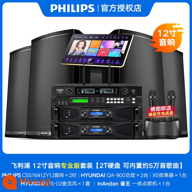 Philips Family KTV Audio Set Chuyên nghiệp K Song Một bộ đầy đủ của Karaoke Song Machine Home Sing Loa Thiết bị - [4 loa] Bộ thùng chuyên nghiệp 12 inch (2T)