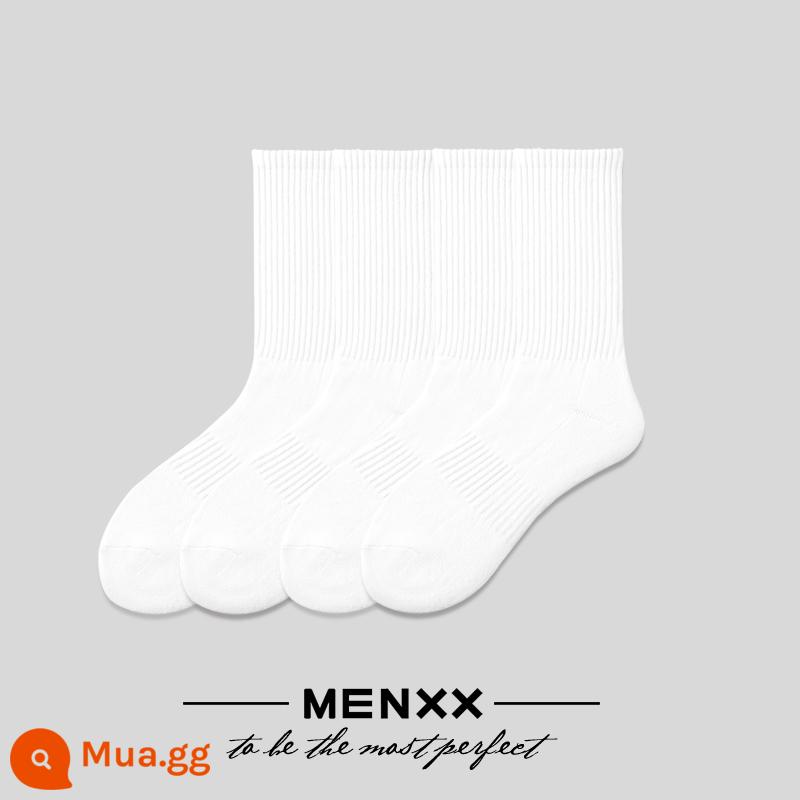 Vớ Menxx Male Long -Tube SOCKS SOCKS Bông nguyên chất Mùa thu và mùa đông Đen và Trắng Màu rắn Solid Middle Midd - 4 đôi trắng [dày thể thao]