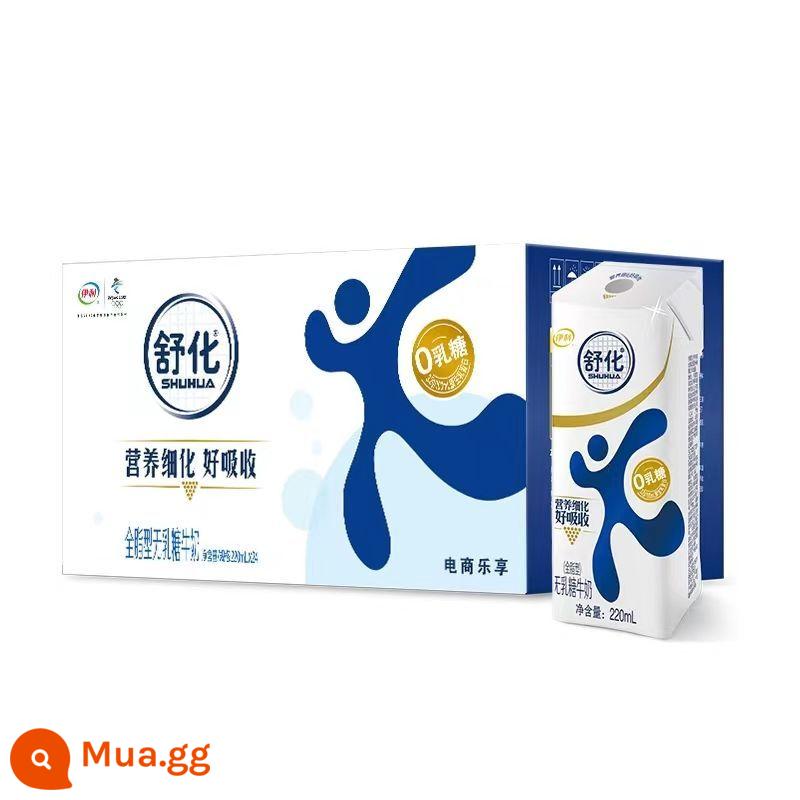 [Hàng mới về tháng 11] Sữa Shuhua không lactose Yili giàu canxi/ít béo/đầy đủ chất béo 220ml*24 hộp ăn sáng - [Sản xuất tháng 12] Loại nguyên béo 220ml*24 hộp