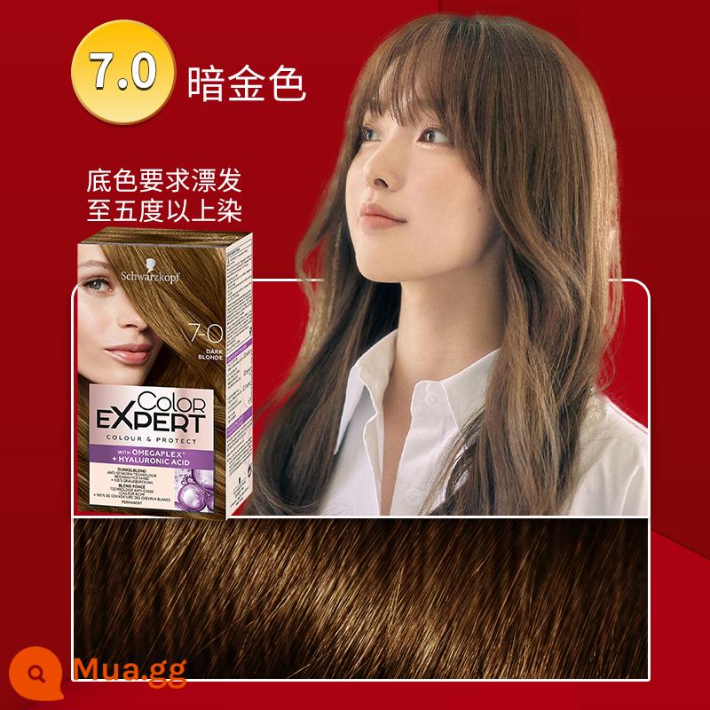 Schwarzkopf SỐNG tóc xanh đen shihualou chính thức nữ l75 bọt bong bóng 101 vật có nguyên chất kem nhuộm tóc - Vàng đậm 7.0