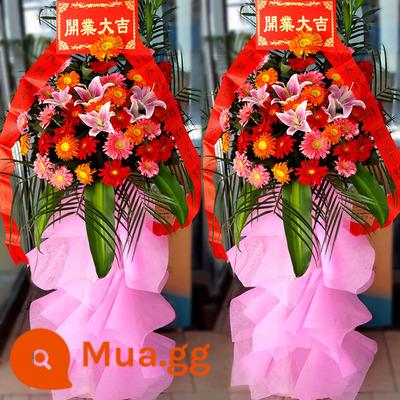 Lẵng hoa khai trương hoa Vô Tích Xishan Huishan Binhu Jiangyin Yixing Liangxi Xinwu shop hoa đồng thành phố giao hàng tận nơi - Kiểu 21 (giá 1 đôi)