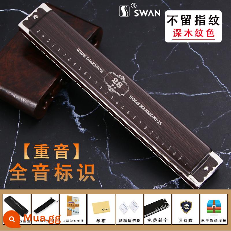 Đức nhập khẩu sậy thiên nga 28 lỗ có dấu kèn harmonica dành cho người lớn chơi chuyên nghiệp cấp mới bắt đầu Phím C đa âm 24 lỗ - (Không dính dấu vân tay) Điểm nhấn 28 lỗ cao cấp [ký hiệu phiên âm] màu vân gỗ sáng + tài liệu học tập