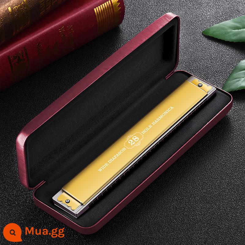 Đức nhập khẩu sậy thiên nga 28 lỗ có dấu kèn harmonica dành cho người lớn chơi chuyên nghiệp cấp mới bắt đầu Phím C đa âm 24 lỗ - [Cấp độ biểu diễn] Phím C đa âm vàng 28 lỗ + trọn bộ quà tặng