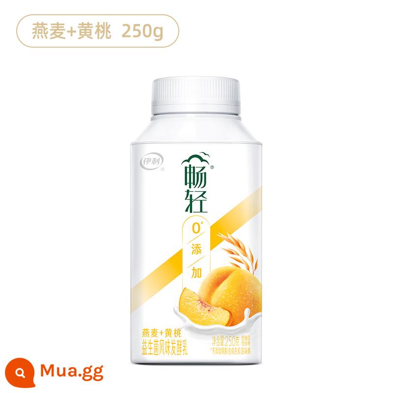 Sữa chua nhạt Yilichang 250g đóng chai hương vị men vi sinh sữa lên men vàng đào yến mạch sữa chua nhiệt độ thấp cả hộp - Bột yến mạch đào vàng 250g