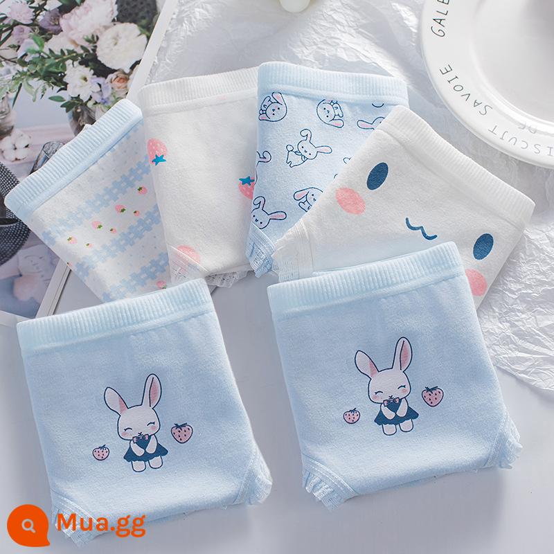 Đồ lót bé gái cotton nguyên chất thời kỳ phát triển của trẻ em trung và lớn bé gái học sinh tiểu học trung học cơ sở quần đùi tam giác đầu 8-18 tuổi - Dâu Thỏ 6 Gói [Tam Giác]