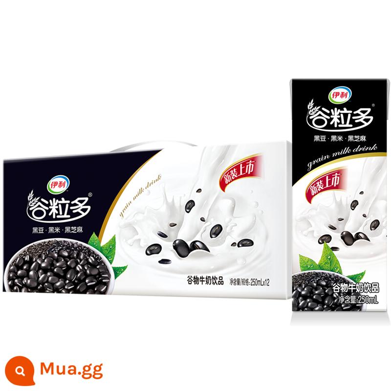 Sữa ngũ cốc ngũ cốc yến mạch óc chó ngũ cốc đa đỏ Yili 250ml*12 mẻ nguyên hộp cho bữa sáng đặc biệt - [Tháng 5] Hạt Đen 250ml*12 hộp