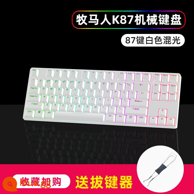 Wrangler Bàn Phím Cơ Trò Chơi Có Dây Máy Tính Chơi Game Văn Phòng Đánh Văn Phòng Đa Năng Gradient Màu Keycap PBT Xanh Trục - Phím trắng-87 tráng men