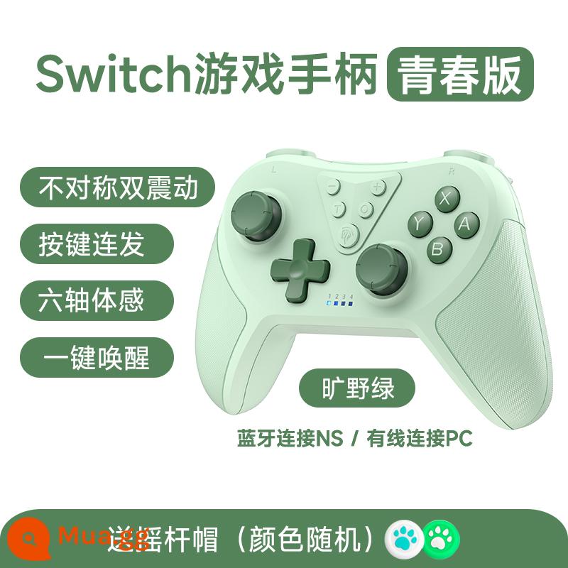 Bộ điều khiển chuyển đổi ngựa dễ dàng phiên bản dành cho giới trẻ pro Nintendo Tay cầm không dây Bluetooth Zelda Kingdom of Tears trò chơi máy tính tương thích máy tính có dây hơi nước bộ điều khiển cô gái thợ săn quái vật dòng quốc gia - màu xanh hoang dã