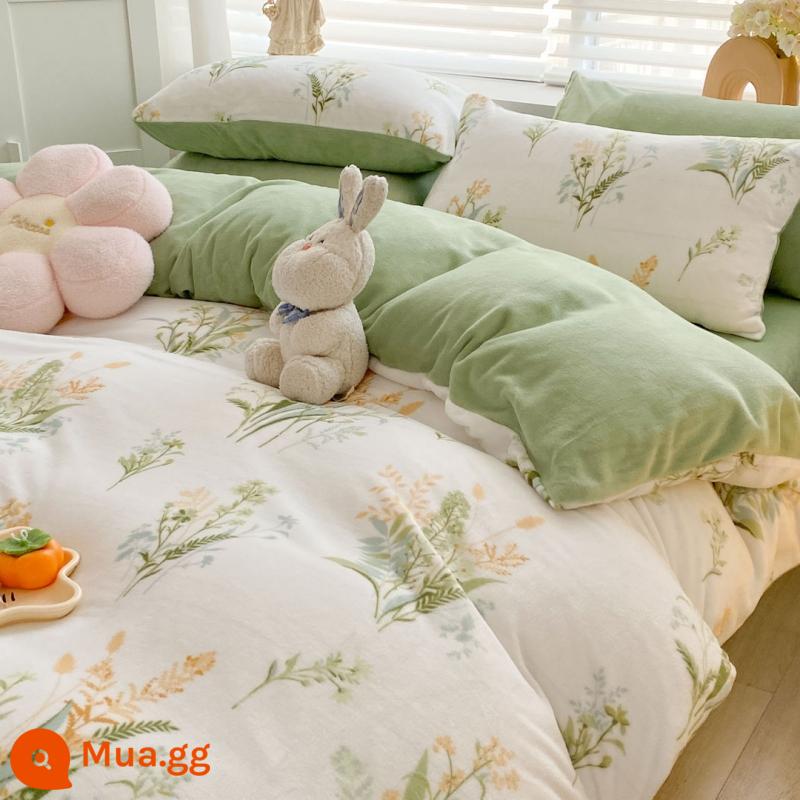 Bed Velvet Bed Velvet nhỏ Bốn bộ giường nhung Velvet Bỉ mặt bích mùa đông - Fengya [nhung sữa mượt]