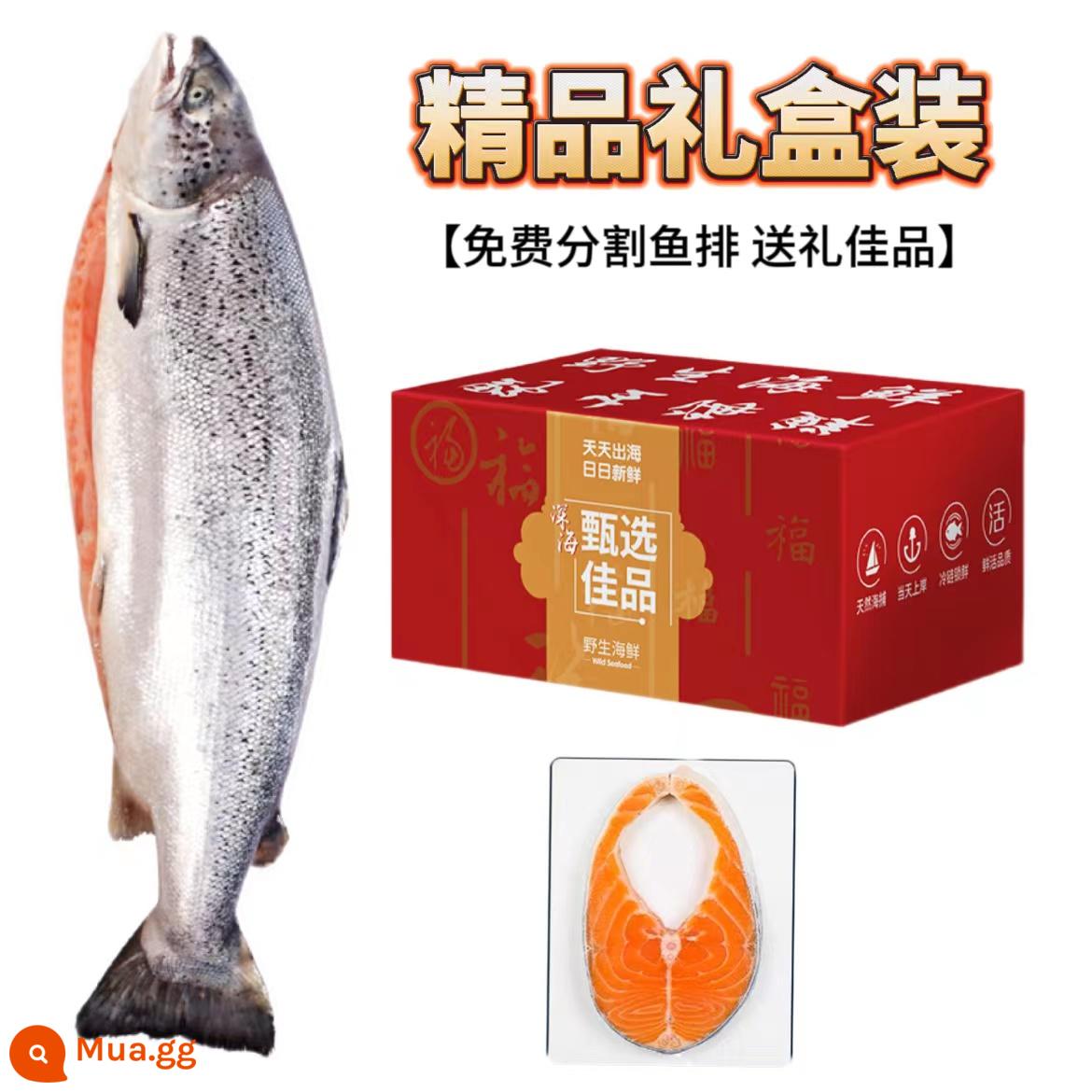 Cá hồi Na Uy nguyên con đông lạnh 10-12 pound, sashimi tươi, sashimi, phần giữa cá hồi, hải sản ăn liền - [Hộp quà] Cá hồi đông lạnh 10-12 pound (cắt thành phi lê)