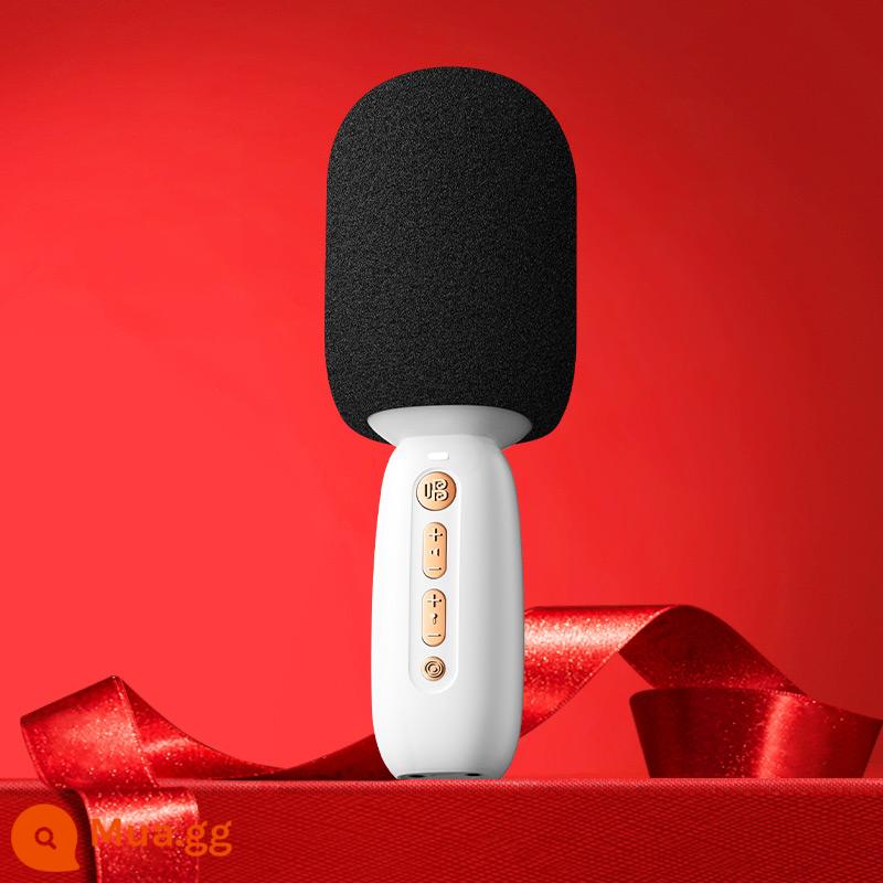 Sing it mái vòm nhỏ G2 micro âm thanh micro tích hợp C20 Bluetooth không dây trực tiếp K bài hát TV gia đình dành cho trẻ em - C10 trắng