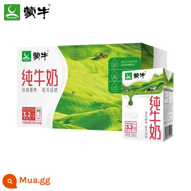 [Ngày mới] Chính thức chính thức Mengniu Sữa nguyên chất 250ml*24 Hộp ăn sáng dinh dưỡng gia đình đầy đủ chất béo - [Quản lý cửa hàng khuyến nghị hàng mới về trong tháng 12] 250ml*24 hộp