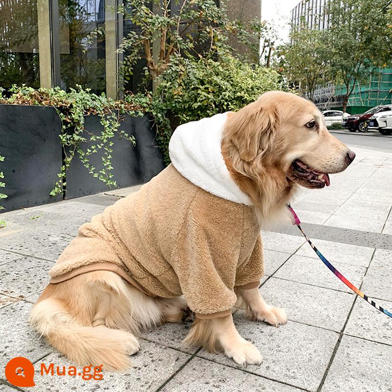 Quần áo cho chó lớn mùa xuân và mùa thu chống rụng lông Samoyed Labrador cho chó trung bình chó con lớn Golden Retriever quần áo mùa thu và mùa đông - (Spring plus nhung) Áo hoodie nhung hạt lạc đà